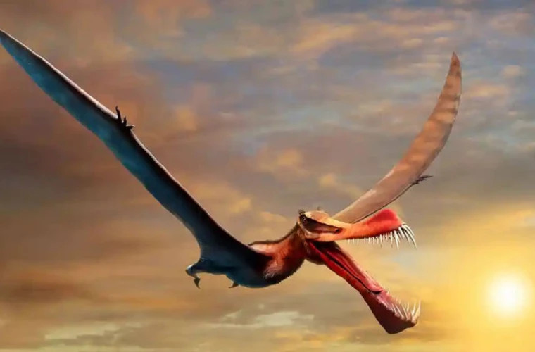Rămăşiţele unui dinozaur zburător uriaş, descris ca un dragon, descoperite în Australia