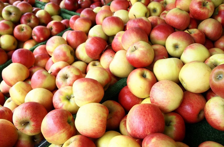 Низкие цены на яблоки радуют потребителей, но тревожат садоводов