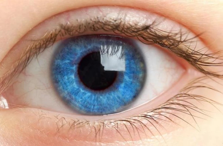 O analiză rapidă a stării de sănătate după ochi. 12 semne că există probleme