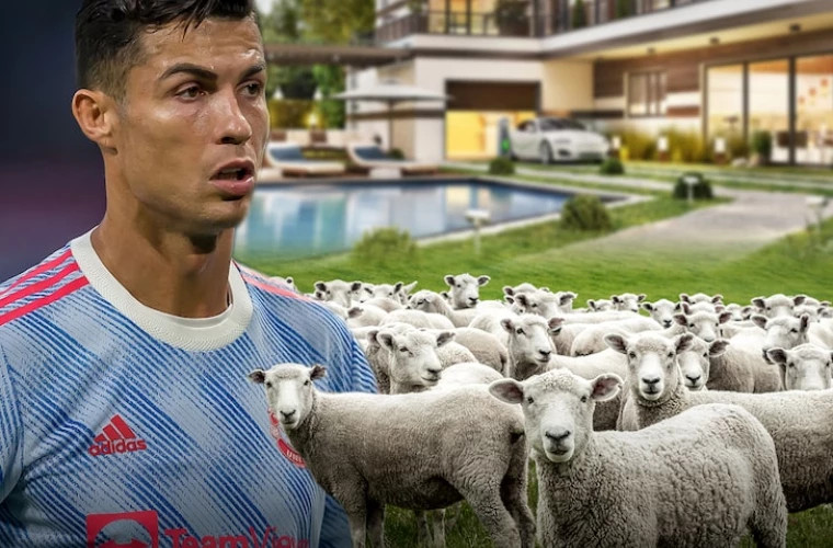 Криштиану Роналду сменил место жительства из-за овец