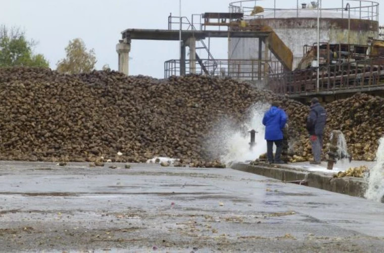 Cea mai mare fabrică de zahăr din Moldova a trecut la alimentarea cu păcură 