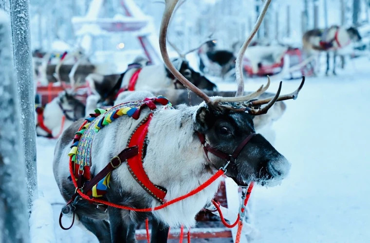 În Laponia, satul lui Moș Crăciun a fost acoperit cu zăpadă