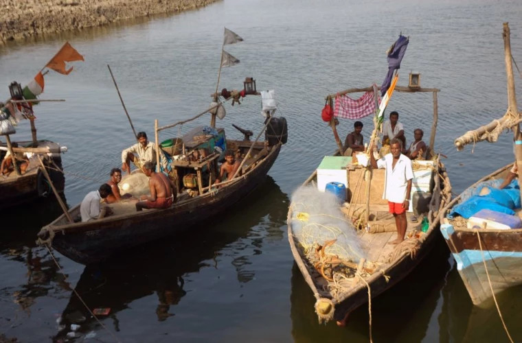 Pescarii din India au prins un pește gigantic