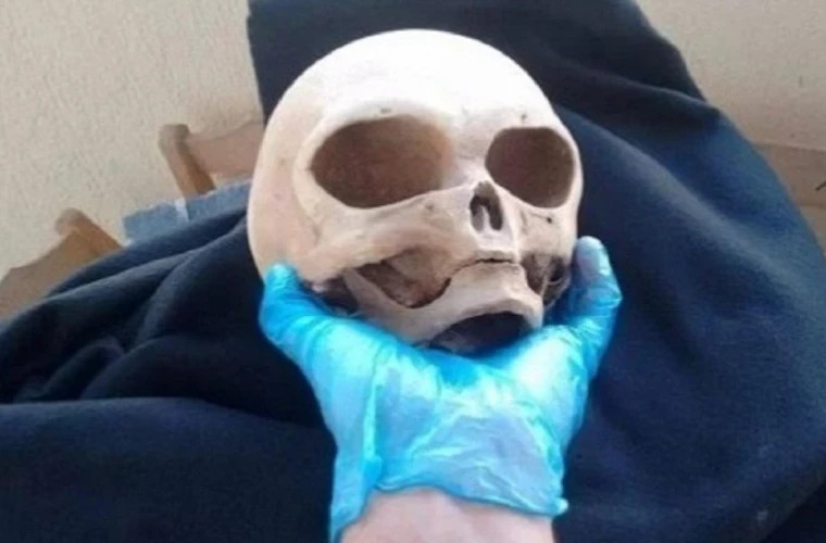 Un locuitor din Crimeea a scos la vînzare craniul unei creaturi extraterestre