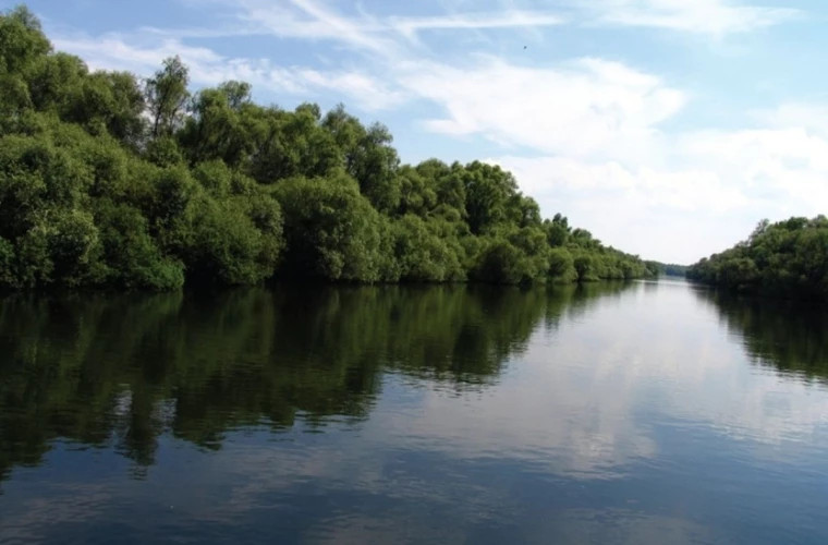 Utilizarea durabilă a resurselor de apă din Prut, Nistru și Dunăre, pe agenda guvernului
