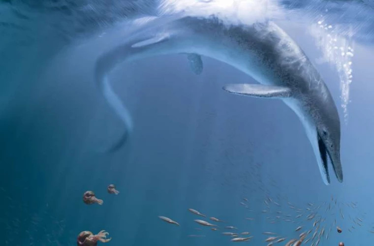 În Nevada au fost descoperite fosilele unui "dragon marin" uriaș 