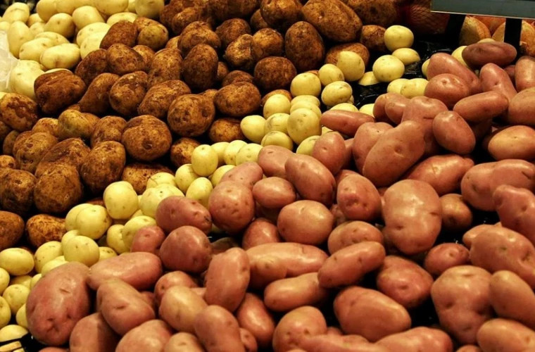 Молдова - третий по величине импортер картофеля из Украины