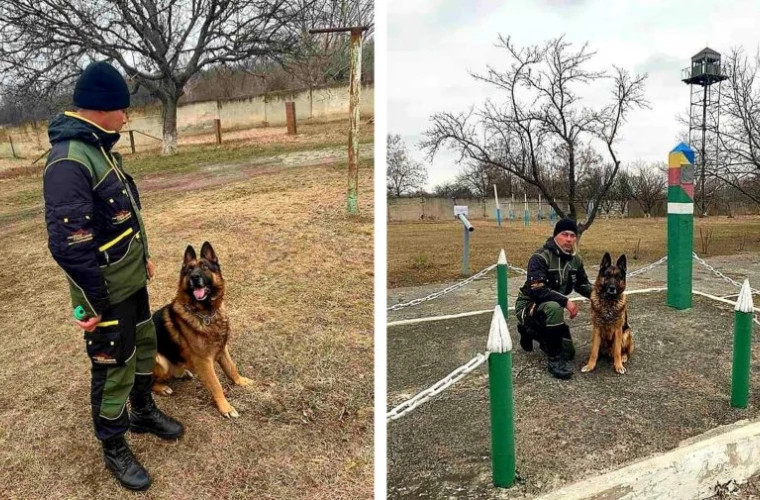 Карьера служебной собаки Брэд в Пограничной полиции завершилась