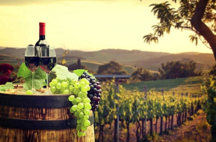 В 2021 году молдавские вина экспортировали в 71 страну мира
