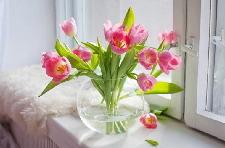 10 способов подольше сохранить тюльпаны в вазе