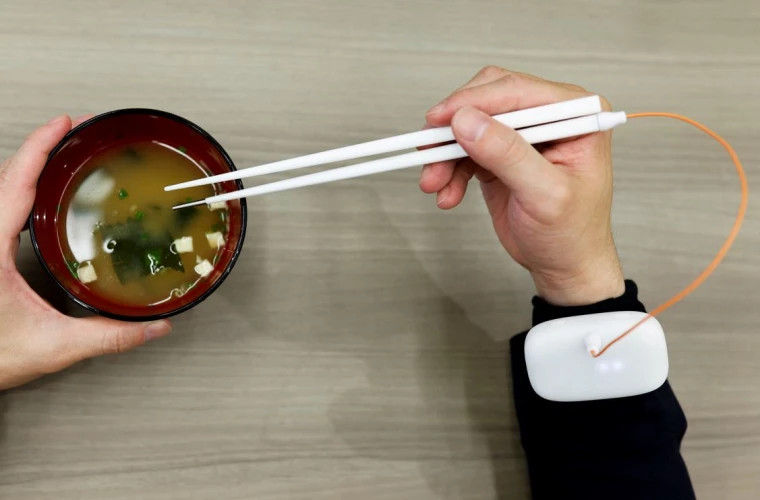 Созданы японские палочки, придающие солёный вкус несолёной еде