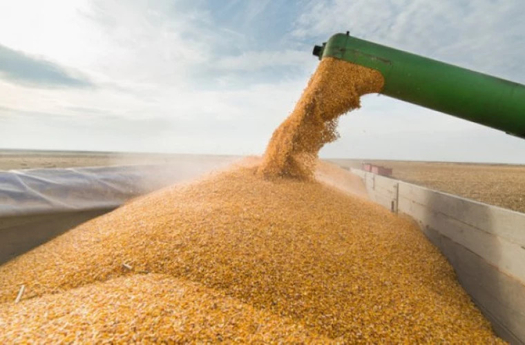 Ucraina a impus restricţii la exporturile de cereale spre România şi Republica Moldova