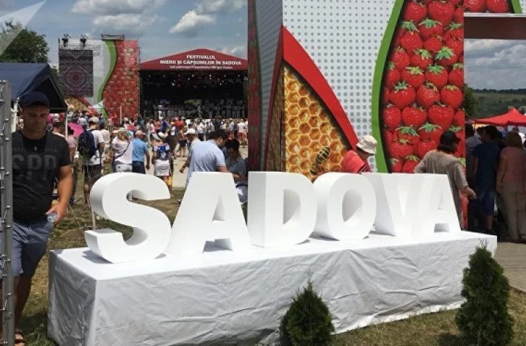 В селе Садова проходит Фестиваль клубники и меда 