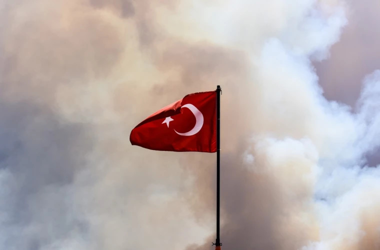 Стало известно, что спровоцировало сильнейший лесной пожар в Турции