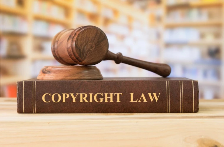 Proiectul de lege privind drepturile de autor și drepturile conexe, votat în prima lectură