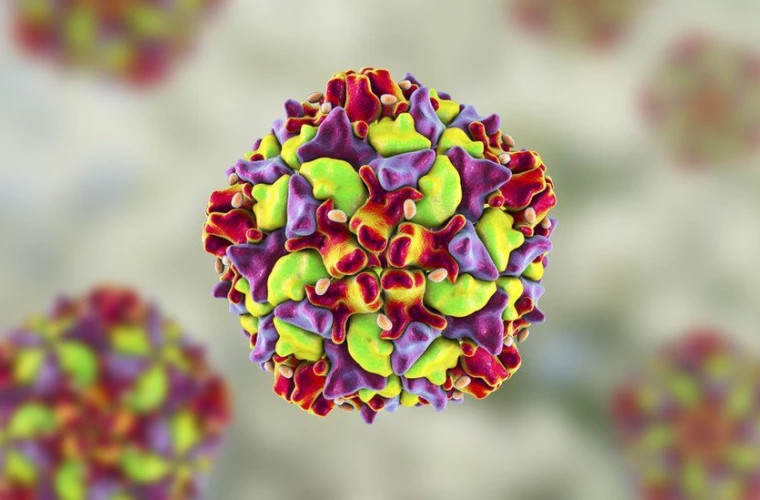 Вирус полиомиелита обнаружен в сточных водах в штате Нью-Йорк 