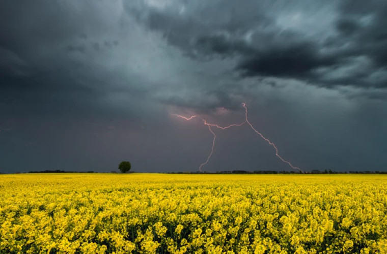 В Молдове объявлен &quot;желтый&quot; уровень опасности грозовых дождей 