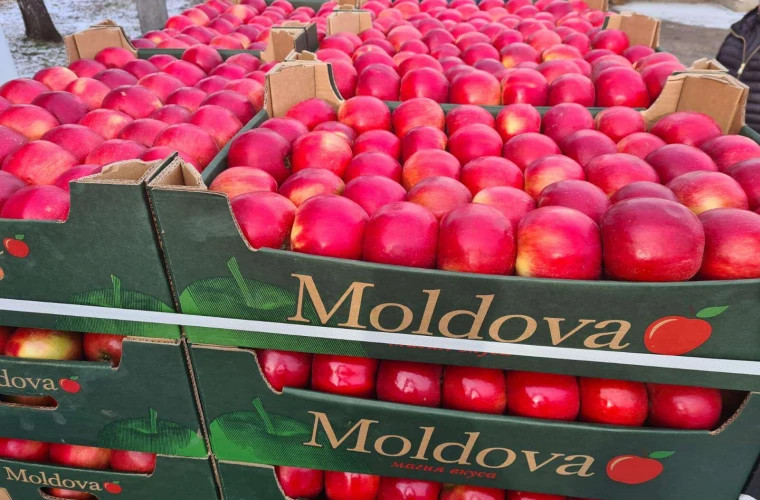 С сегодняшнего дня действует эмбарго, введенное Россией в отношении сельхозпродукции из Молдовы