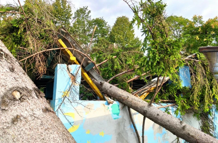 Cînd vor începe reparațiile la școlile și grădinițele din capitală afectate de furtună