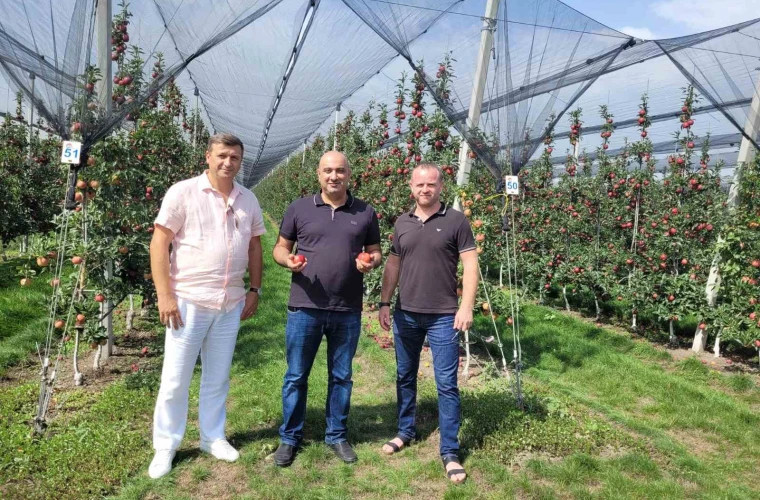 В ОАЭ заинтересованы в экспорте молдавских фруктов