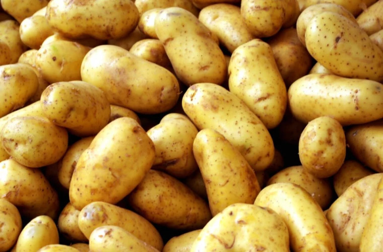 De ce în Moldova, contrar prognozelor, nu scad prețurile la cartofi