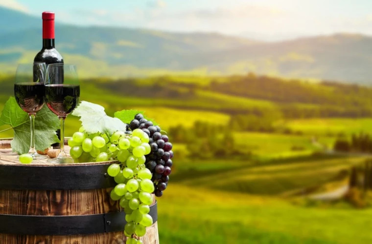 Виноделы юга Молдовы заявили о крайне тяжелом положении отрасли 