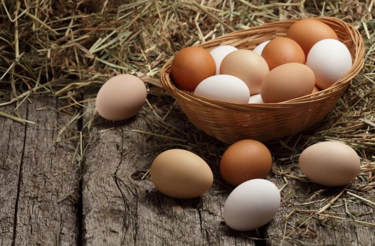 ANSA / Ce informație trebuie să fie prezentă pe ambalajul ouălor pentru consum 