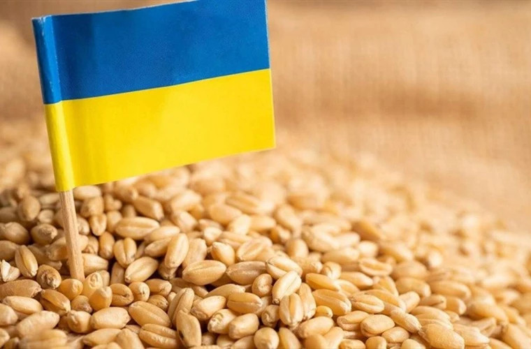 Comisia Europeană va prelungit restricțiile la importul produselor agricole din Ucraina 