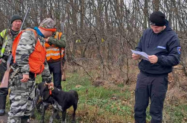 Verificări la vînătoarea de iepuri Ce sancțiuni au fost aplicate