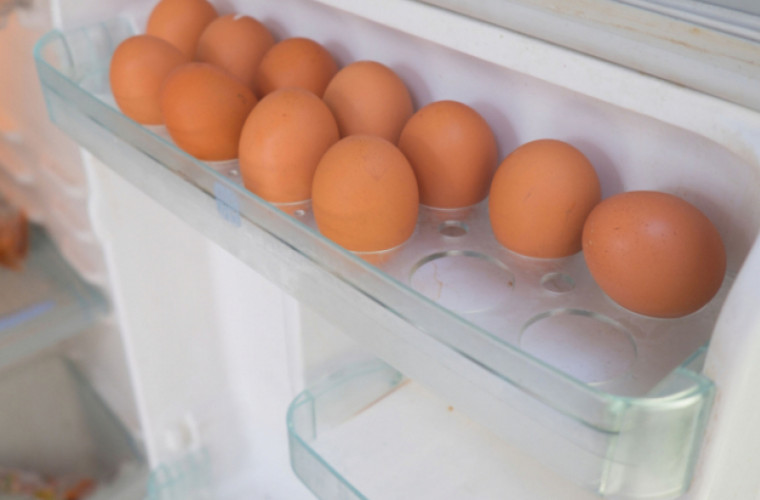 Можно ли хранить яйца при комнатной температуре?