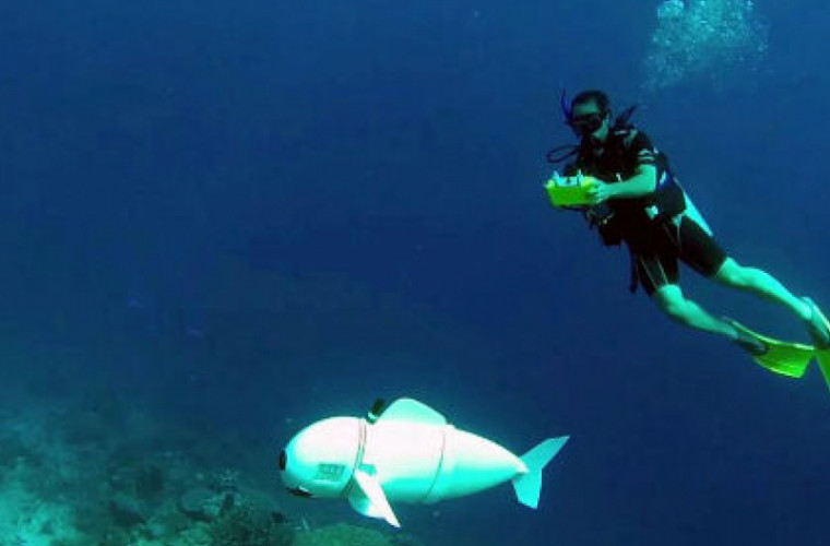 Cum arată peștele robot, creat pentru observațiile subacvatice (VIDEO)