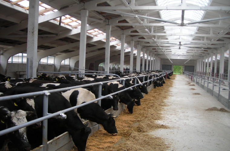 Belarus va ajuta Moldova să construiască un complex modern de produse lactate și mărfuri