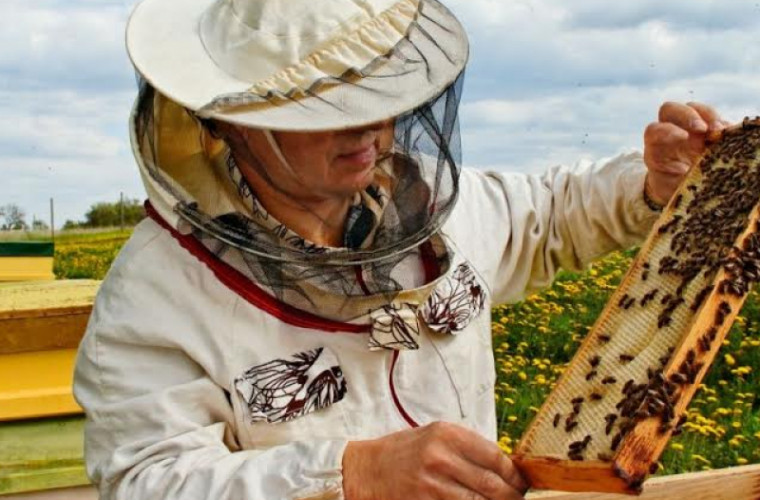 30 de apicultori au primit în dar stupi verticali pentru a-și spori productivitatea