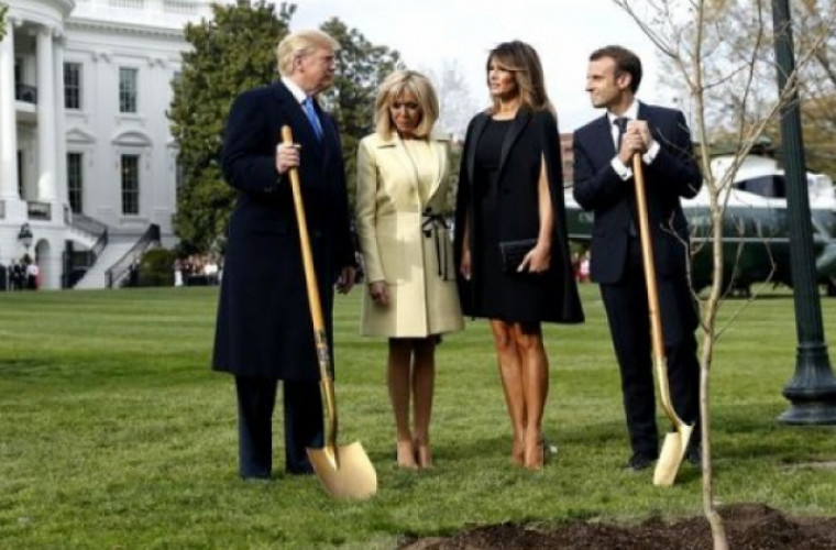 Copacul plantat la Casa Albă de Trump și Macron a dispărut (FOTO)