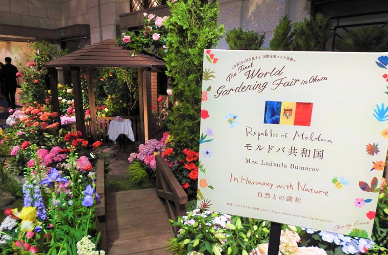 La Tokyo a înflorit „Grădina Moldovei” (FOTO)