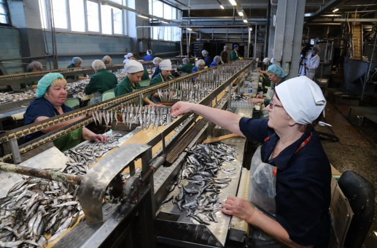 Самый большой рыбоконсервный завод калининградской области