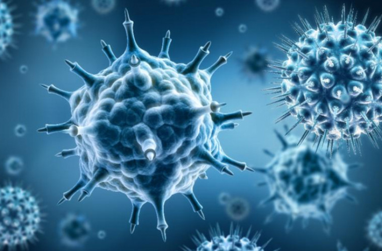 Virusul fără leac și rar care ar putea da startul unei noi epidemii