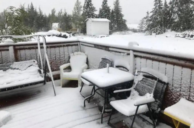 Канаду неожиданно засыпало снегом (ФОТО)