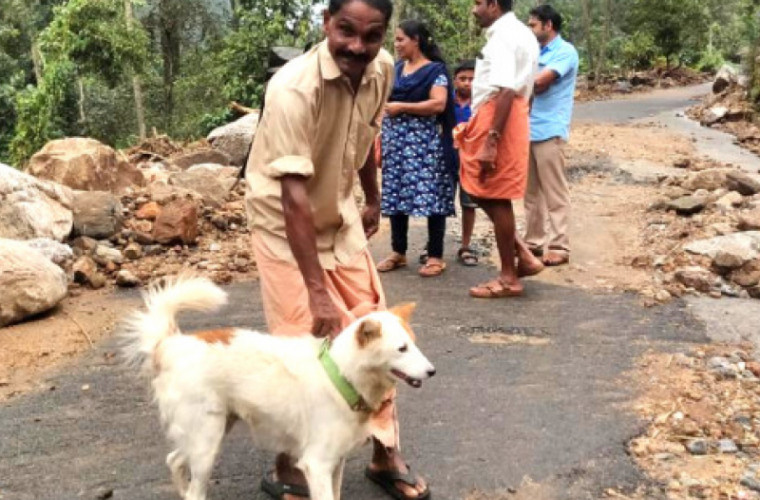 Un cîine a salvat o familie întreagă de la moarte, în India