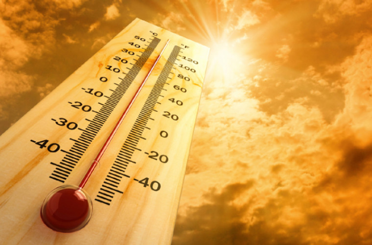 Țara care se confruntă cu cea mai călduroasă vară din ultimii 50 de ani