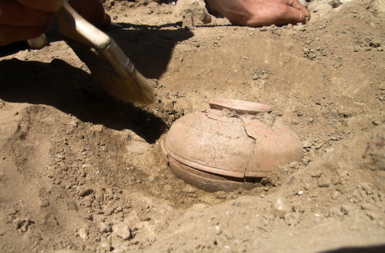 Au dezgropat o oală veche de 800 de ani, plină cu seminţe. Cînd au văzut ce a răsărit, au fost surprinși (FOTO)