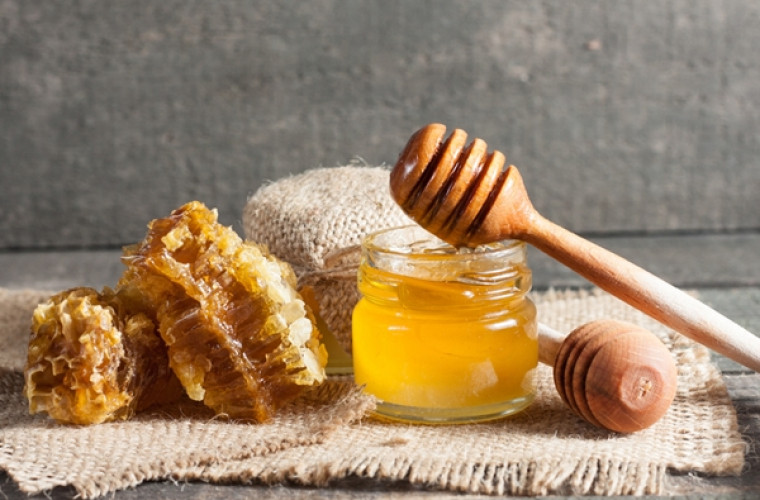 Apicultorii din Moldova vor produce miere ecologică certificată