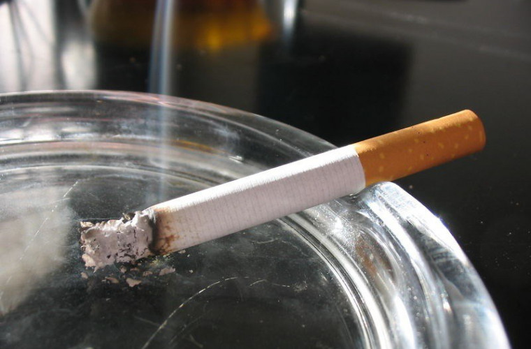fumul de fum pierde în greutate asigurați- vă aplicația subțire a corpului
