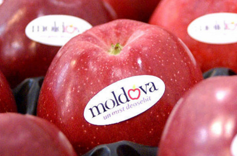 Moldova – cel mai mare furnizor de mere în Rusia 