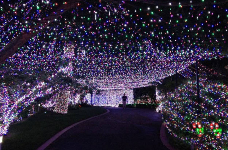 Motivul pentru care un milionar își decorează casa cu prea multe luminițe de Crăciun