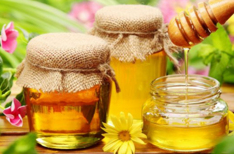 Mierea de albini din Republica Moldova, cerută în UE