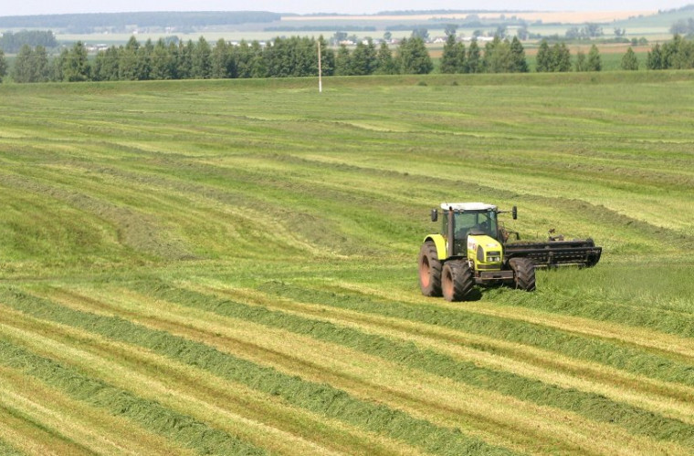 Fermierii moldoveni pot solicita subvenții pentru anul 2019