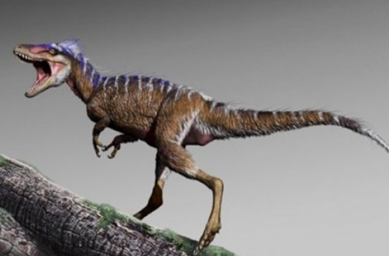În SUA, au fost găsite rămășițele unui mini-dinozaur