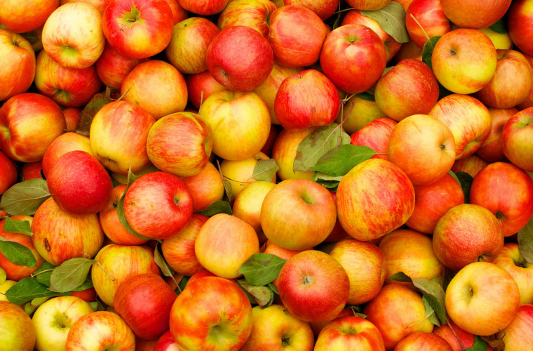 В Россию не пропустили еще более 20 тонн яблок из Молдовы