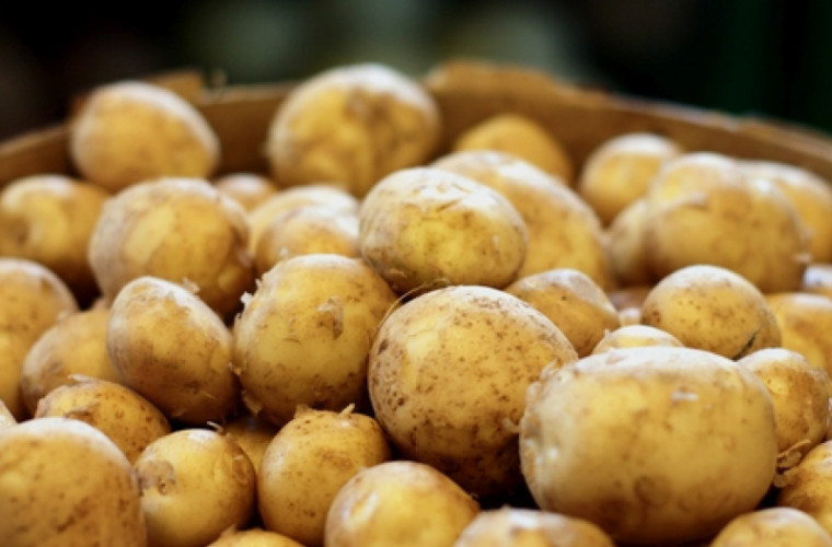 Картофель - исключительный источник витаминов и минералов
